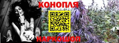 мдпв Малгобек