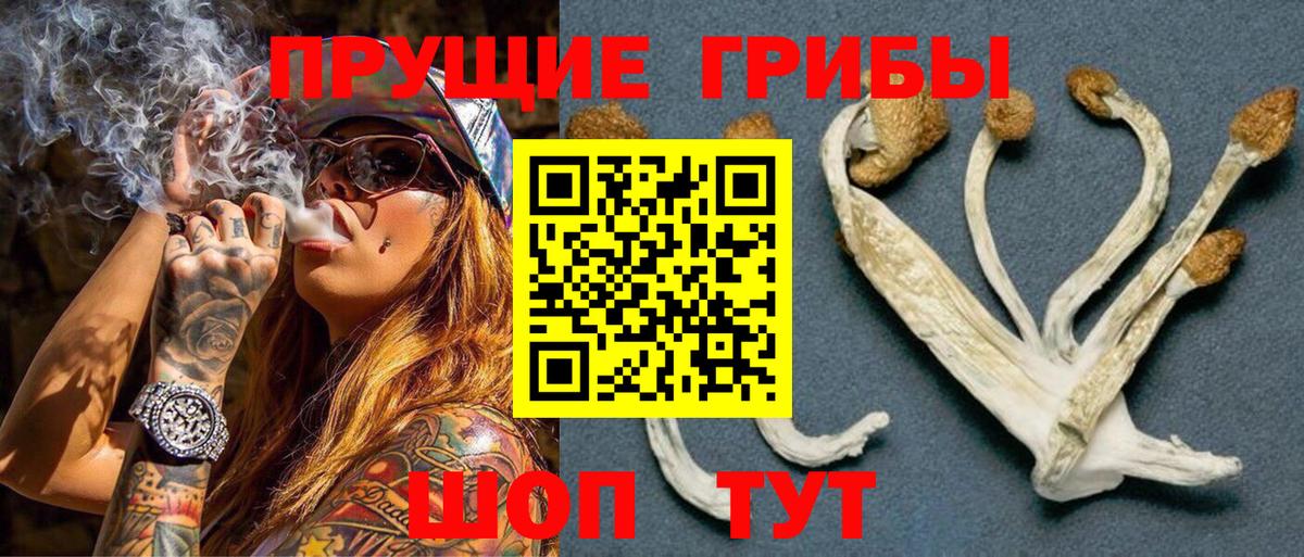 купить наркотик  Галлюциногенные грибы Magic Shrooms  Вход с VPN  Учалы 